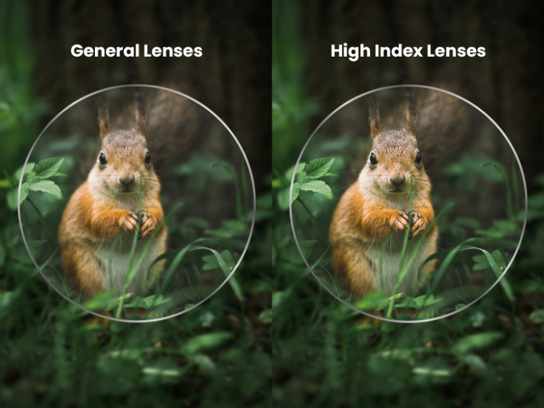 A side-by-side graphic showing a squirrel viewed through