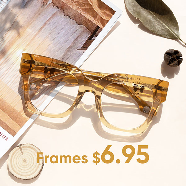 Frame low average cost only $6.95
