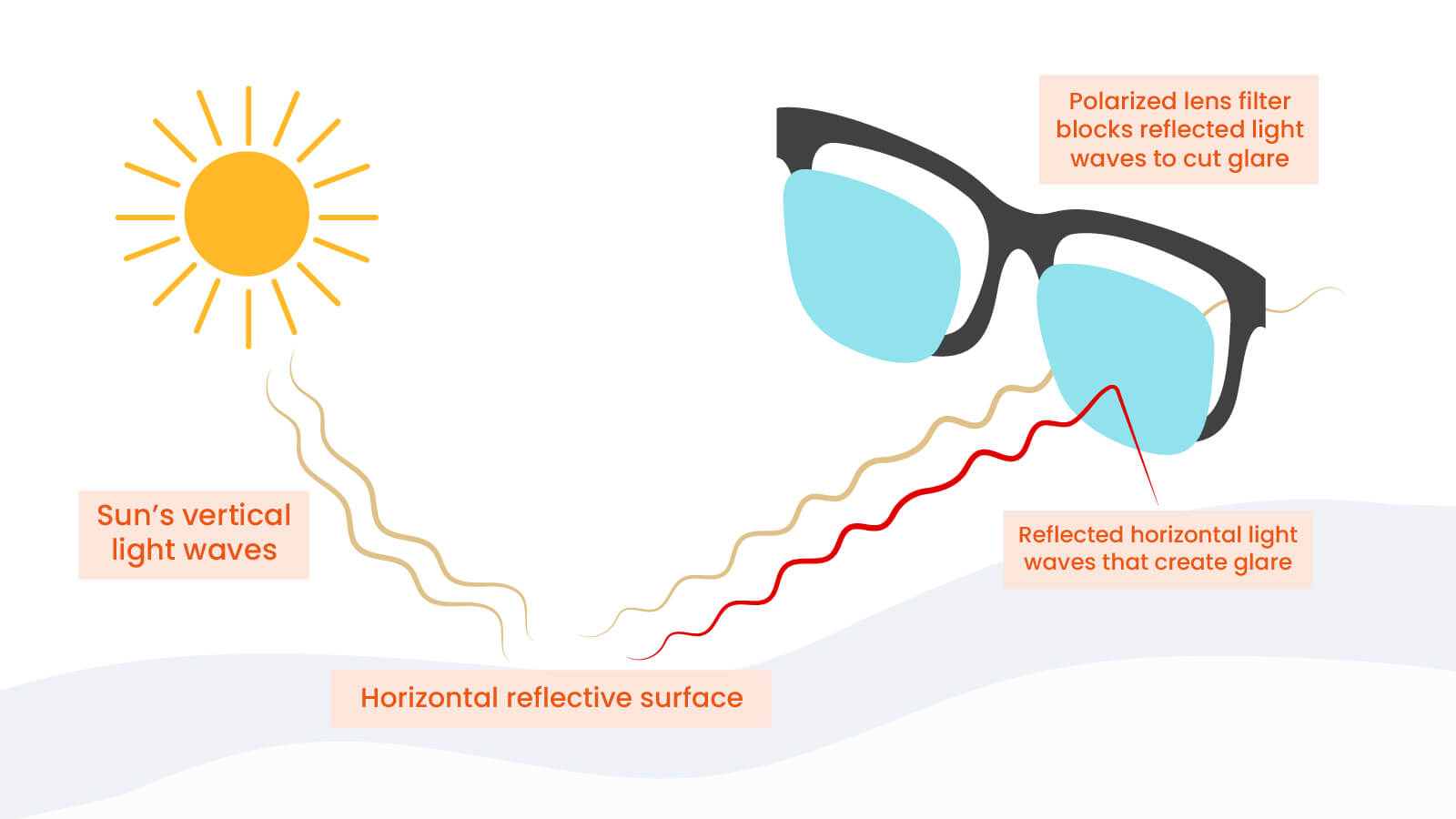 how to polarized lenses work