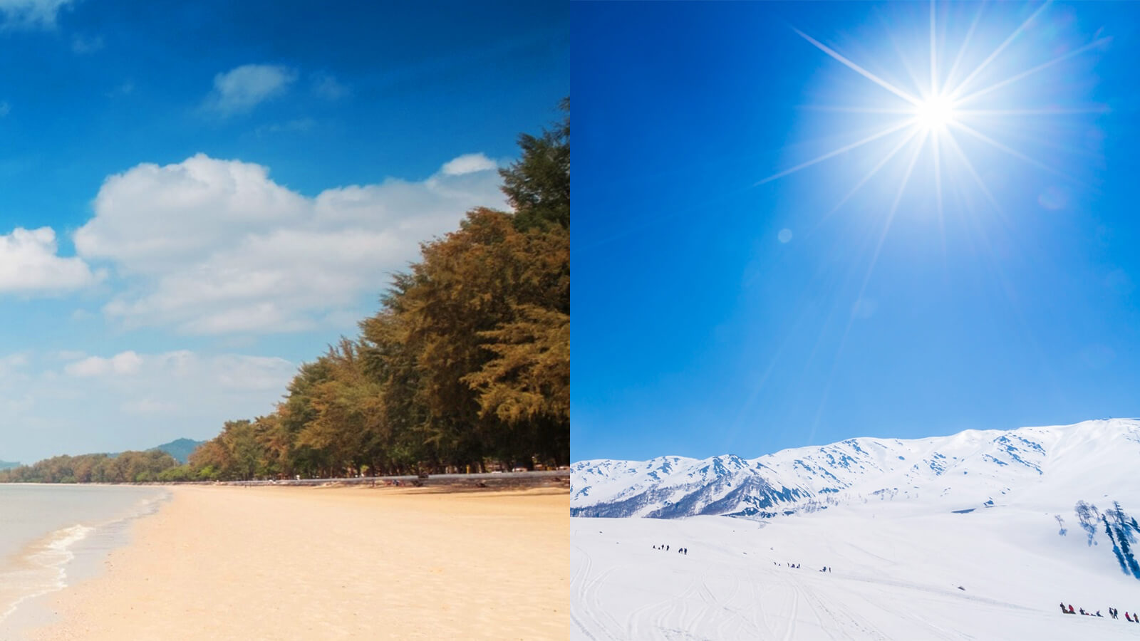 polarized sunglasses for winter