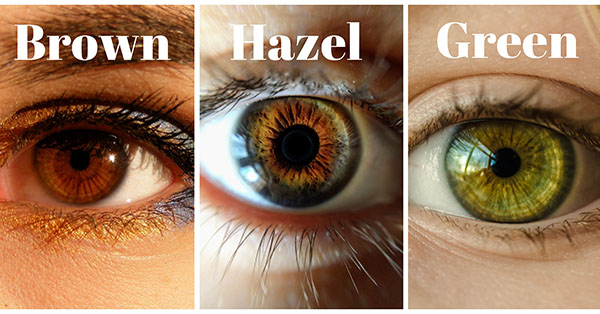 Hazel, Brown, Green Three Eye Colors